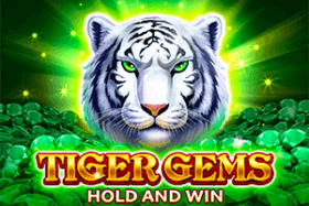 game item photo